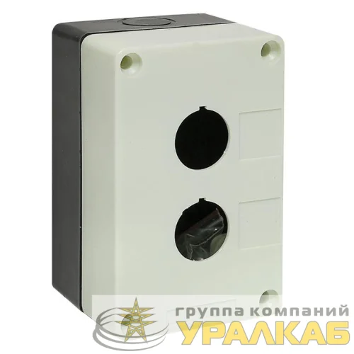 Корпус КП 102 2 кнопки белый EKF cpb-102-w детальная картинка