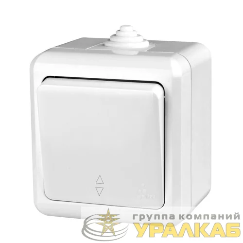 Переключатель 1-кл. ОП Dita IP54 10А 250В бел. TOKOV ELECTRIC TKL-DT-P1-C01-IP54 детальная картинка