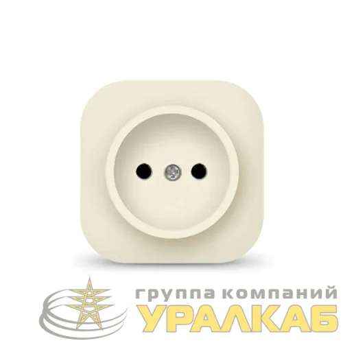 Розетка 1-м ОП 10А IP20 без заземл. сл. кость IONICH 1431 детальная картинка