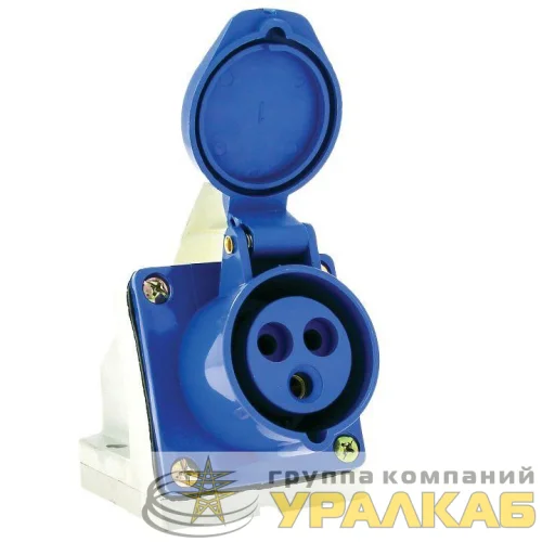 Розетка наружн. уст. 63А 220В 2P+РЕ IP67 (133) EKF 