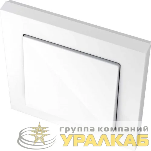 Рамка 1-м M-Pure полярно-бел. SchE MTN4010-3619 детальная картинка