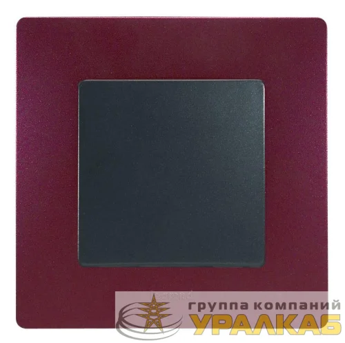 Рамка 1-м Etika сливовый Leg 