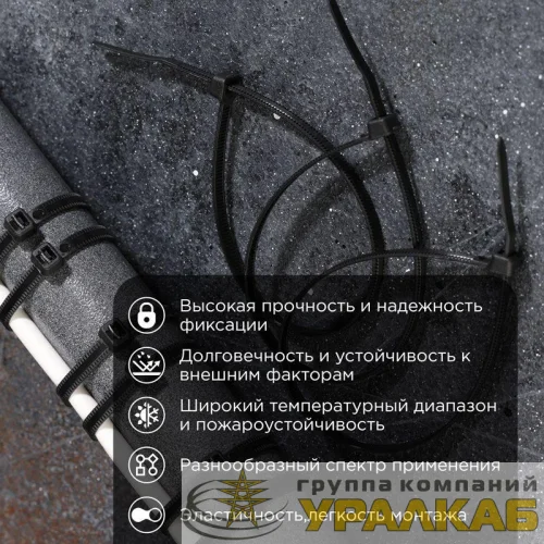Хомут кабельный 3.6х250 тройной замок нейл. черн. (уп.100шт) Rexant 67-0251 детальная картинка