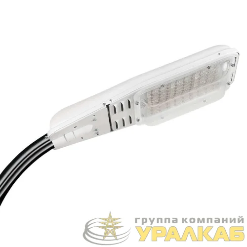 Светильник ДКУ "Победа" LED-150-К/К50 GALAD 10950 детальная картинка