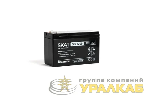 Аккумулятор свинцово-кислотный SKAT SB 1209 Бастион 2540 детальная картинка