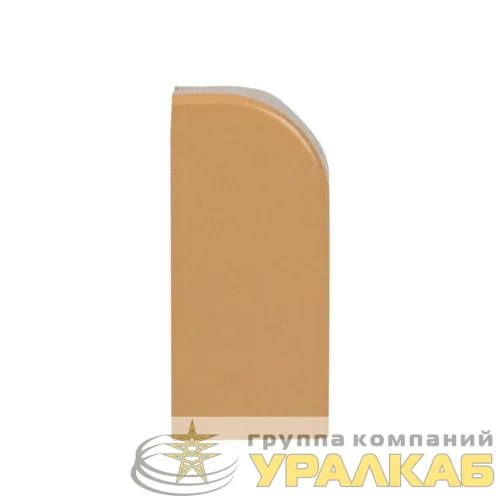 Заглушка 15х10 под свет. дерево Plast PROxima (уп.4шт) EKF ecl-15-10x4 детальная картинка