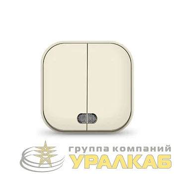 Выключатель 2-кл. 1п ОП 10А IP20 с подсветкой сл. кость IONICH 1426