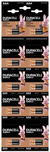 Элемент питания AAA/LR03-2BL Basic 2х10 5011646 (блист.20шт) Duracell Б0051816 детальная картинка