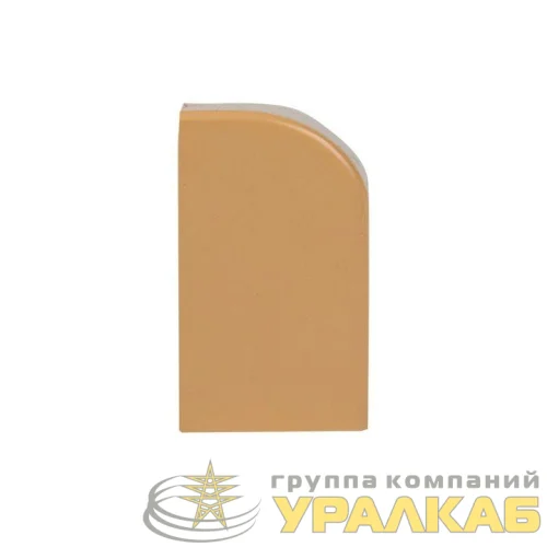 Заглушка 25х16 под свет. дерево Plast PROxima (уп.4шт) EKF ecl-25-16x4 детальная картинка