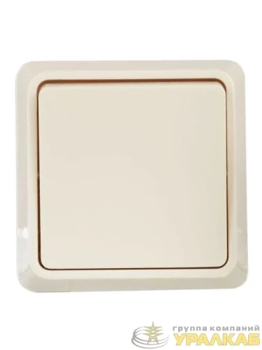 Выключатель 1-кл. ОП Октава 10А IP20 ВС20-1-0-ОКм крем. IEK EVO10-K33-10-DC детальная картинка