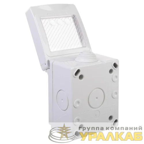 Коробка для настенного монтажа 2 мод. "Avanti" IP55 сер. DKC 4403932 детальная картинка