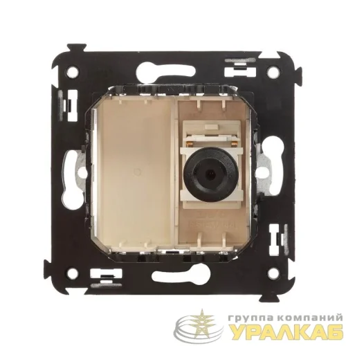 Розетка телевизионная одиночная TV СП Avanti "Ванильная дымка" DKC 