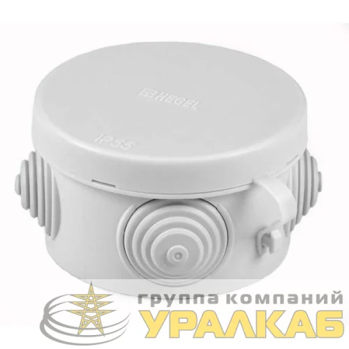 Коробка распределительная ОП 65х40мм IP55 HEGEL КР2601 детальная картинка