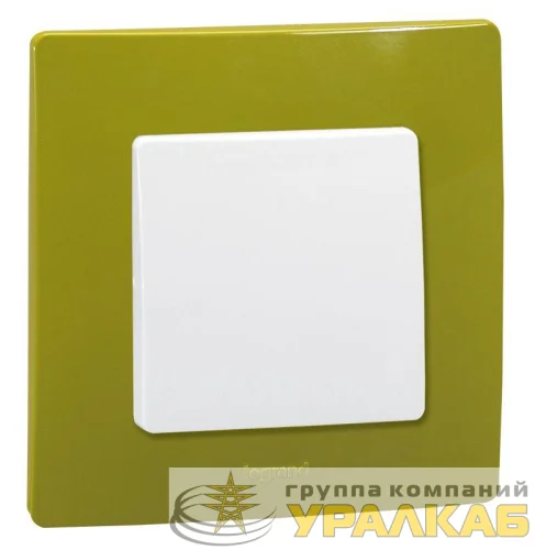 Рамка 1-м Etika зел. папоротник Leg 