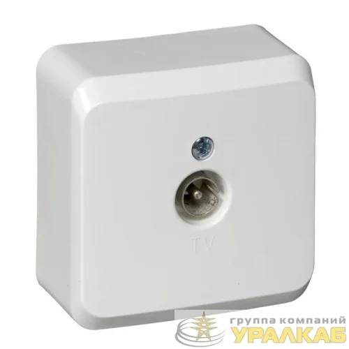 Розетка телевизионная TV 1-м ОП Этюд бел. SE 