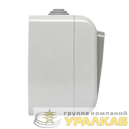 Выключатель 2-кл. ОП Мурманск 10А IP54 сер. EKF EFV10-023-30-54 детальная картинка