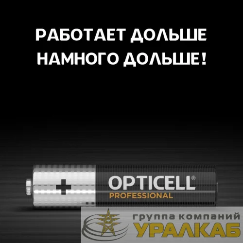 Элемент питания алкалиновый AAA/LR03 (блист. 6шт) Professional Opticell 5052004 детальная картинка