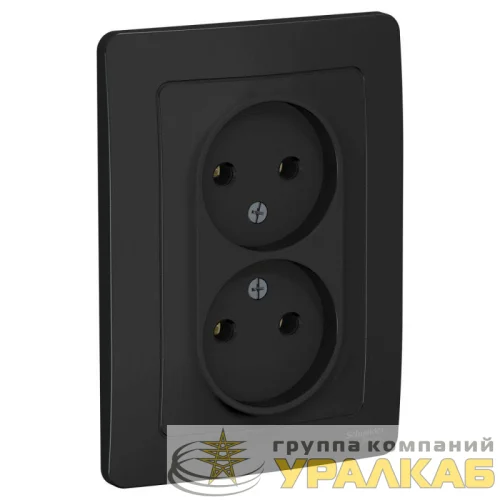 Розетка 2-м СП Blanca 16А IP20 250В без заземл. без защ. шторок антрацит SE BLNRS000026 детальная картинка Розетка 2-м СП Blanca 16А IP20 250В без заземл. без защ. шторок антрацит SE BLNRS000026 детальная картинка