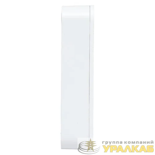 Датчик протечки умный Zigbee Connect EKF is-fl-zb детальная картинка