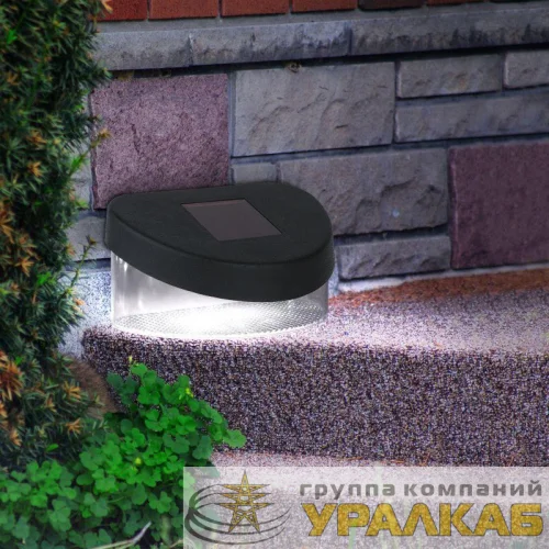 Светильник садовый SL-PL8-MNT1 настен. с выкл. черн. ЭРА Б0018819 детальная картинка