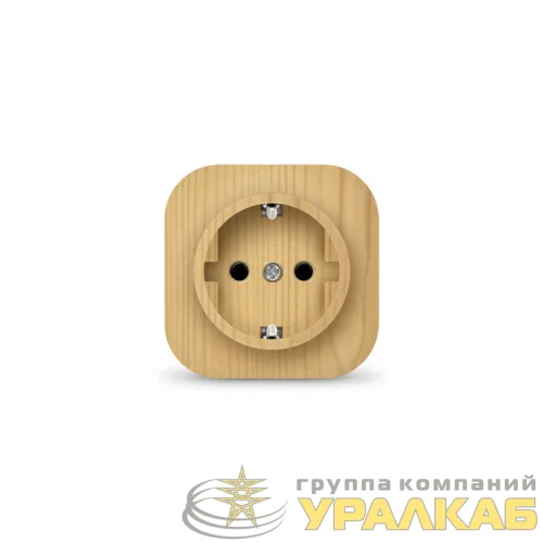 Розетка 1-м ОП 16А IP20 с заземл. сосна IONICH 1444 детальная картинка