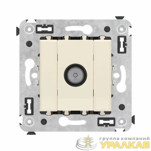 Розетка телевизионная оконечная TV СП Avanti "Ванильная дымка" DKC 