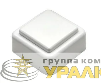 Кнопка звонка (выключатель для бытовых электрических звонков) Тритон ВЗ1-01 бел.