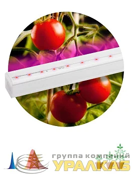 Светильник светодиодный для растений FITO-14W-Т5-N 14Вт 220-240В линейный для периода вегетации фиолет. свечение ЭРА 