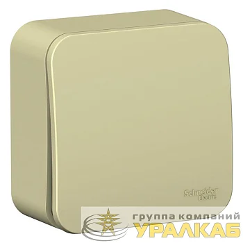 Выключатель 1-кл. ОП Blanca 10А IP20 (сх. 1) 250В с изолир. пластиной беж. SE 