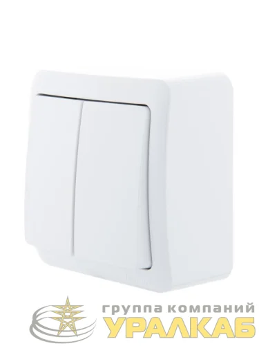 Выключатель 2-кл. 1п ОП Viola 10А IP20 бел. LEZARD 