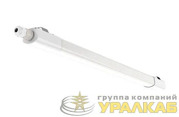 Светильник светодиодный ДСП-2002 36Вт 6500К IP65 230В 1200х39мм ФАZА 5033917