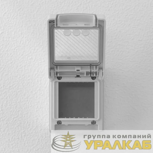 Коробка для настенного монтажа 2 мод. "Avanti" IP55 сер. DKC 4403932 детальная картинка