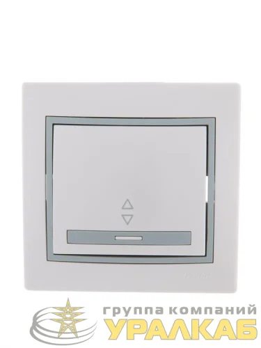 Переключатель проходной 1-кл. СП Mira 10А с сер. вставкой бел. LEZARD 701-0215-105 детальная картинка