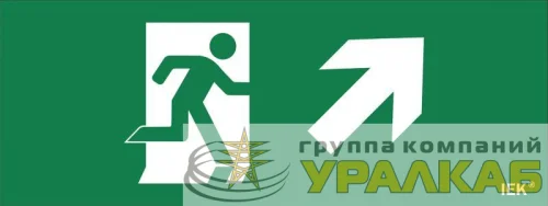 Этикетка самоклеящаяся "Фигура/стрелка вверх вправо" ДПА IP20/54 IEK LPC10-1-24-09-FVVNAPR детальная картинка