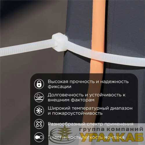 Хомут кабельный 3.6х250 нейл. бел. (уп.100шт) Rexant 07-0250 детальная картинка