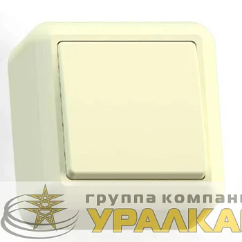 Выключатель 1-кл. ОП Оптима 10А IP20 А110-377 с монтаж. пластиной сл. кость Кунцево 8030