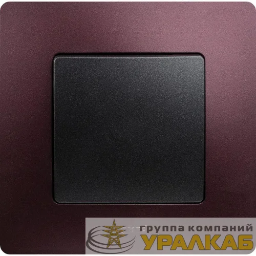 Рамка 1-м Etika сливовый Leg 