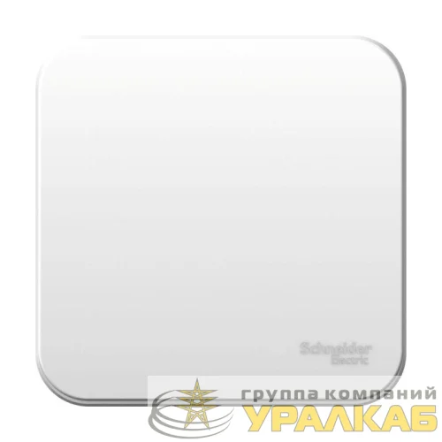 Выключатель 1-кл. ОП Blanca 6А IP20 (сх. 1) 250В бел. SE BLNVA061001 детальная картинка
