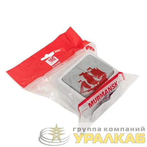 Выключатель 2-кл. ОП Мурманск 10А IP54 сер. EKF EFV10-023-30-54 детальная картинка