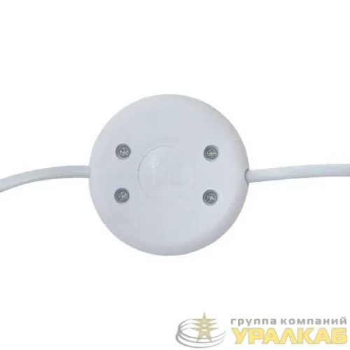 Шнур для бра с ножным выключателем 2м 2х0.5кв.мм EKF ASL-610 детальная картинка