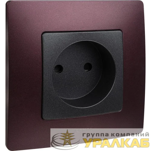 Рамка 1-м Etika сливовый Leg 