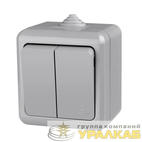 Выключатель 2-кл. ОП Dita IP54 10А 250В сер. TOKOV ELECTRIC TKL-DT-V2-C06-IP54 детальная картинка Выключатель 2-кл. ОП Dita IP54 10А 250В сер. TOKOV ELECTRIC TKL-DT-V2-C06-IP54 детальная картинка