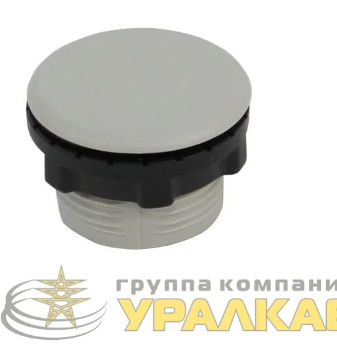 Заглушка для отверcтия 22мм PROxima EKF pb-22 детальная картинка