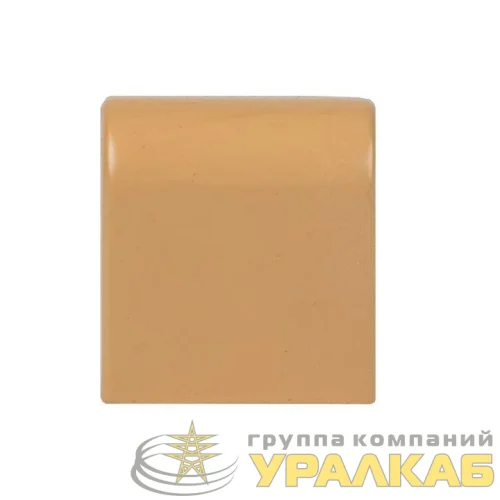 Заглушка 25х16 под свет. дерево Plast PROxima (уп.4шт) EKF ecl-25-16x4 детальная картинка