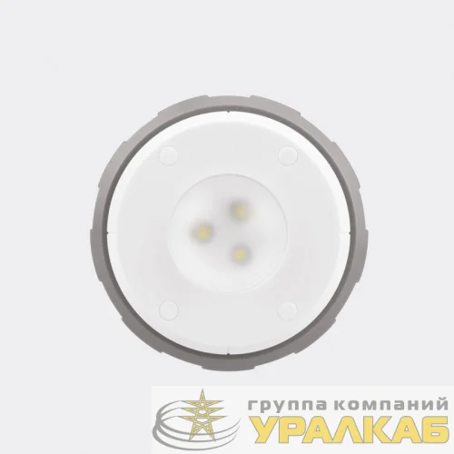 Фонарь антимоскитный кемпинговый R20 USB Rexant 71-0076 детальная картинка