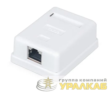Розетка компьютерная 1-м ОП WR-WS-8P8C-C5E-SH-1 RJ45 кат.5E экранир. Dual IDC бел. WRline 505217 Розетка компьютерная 1-м ОП WR-WS-8P8C-C5E-SH-1 RJ45 кат.5E экранир. Dual IDC бел. WRline 505217