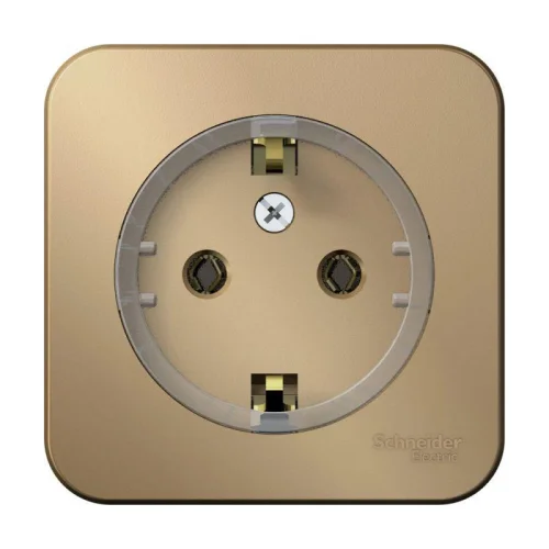 Розетка 1-м ОП Blanca 16А IP20 250В с заземл. без защ. шторок с изолир. пластиной (компакт) титан SchE BLNRA110114 детальная картинка