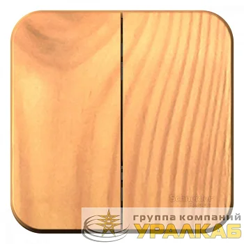 Выключатель 2-кл. ОП Blanca 10А IP20 (сх. 5) 250В с изолир. пластиной ясень SE 