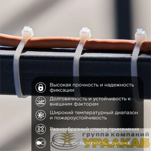 Хомут кабельный 2.5х100 нейл. бел. (уп.100шт) Rexant 