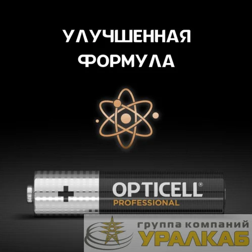 Элемент питания алкалиновый AAA/LR03 (блист. 6шт) Professional Opticell 5052004 детальная картинка